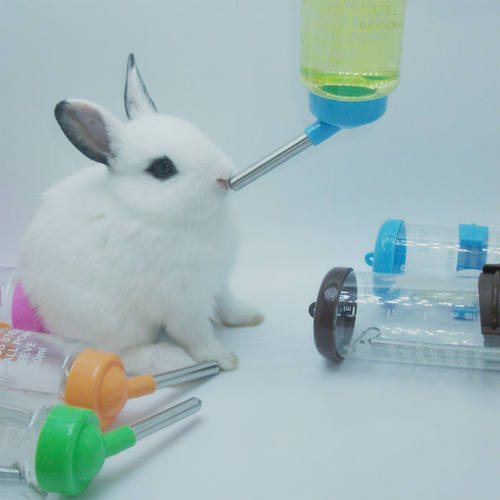 宠物兔饮水器仓鼠豚鼠龙猫荷兰猪不漏水喝水壶滚珠用品挂式新品促 - 图0