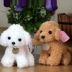 Mô phỏng Teddy Dog Year Mascot Plush Toy Grab Doll Small Doll Puppy Doll Doll - Đồ chơi mềm do choi tre em Đồ chơi mềm