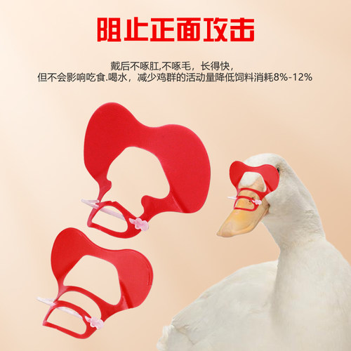 鸭鹅通用型眼镜操作简单方便不易啄伤防打架防啄毛好佩戴 - 图0