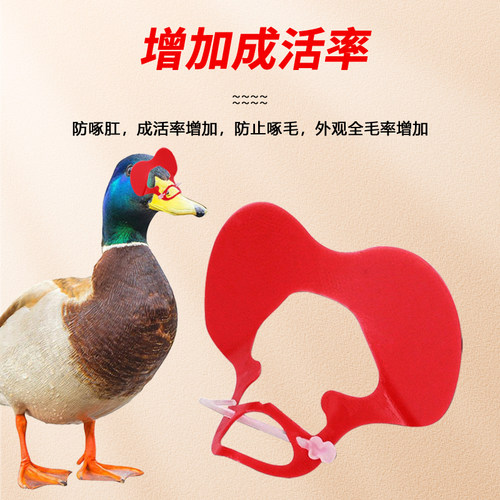 鸭鹅通用型眼镜操作简单方便不易啄伤防打架防啄毛好佩戴 - 图2