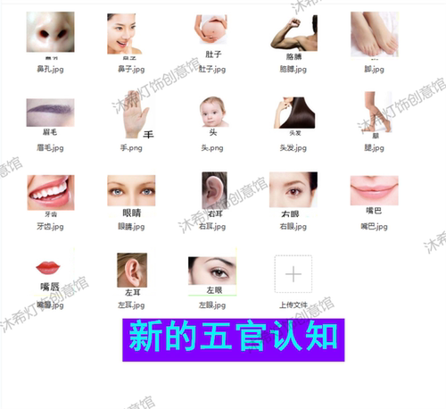 早教认知教具电子版自闭症aba干预卡片语言智力康复家庭训练教材 - 图2