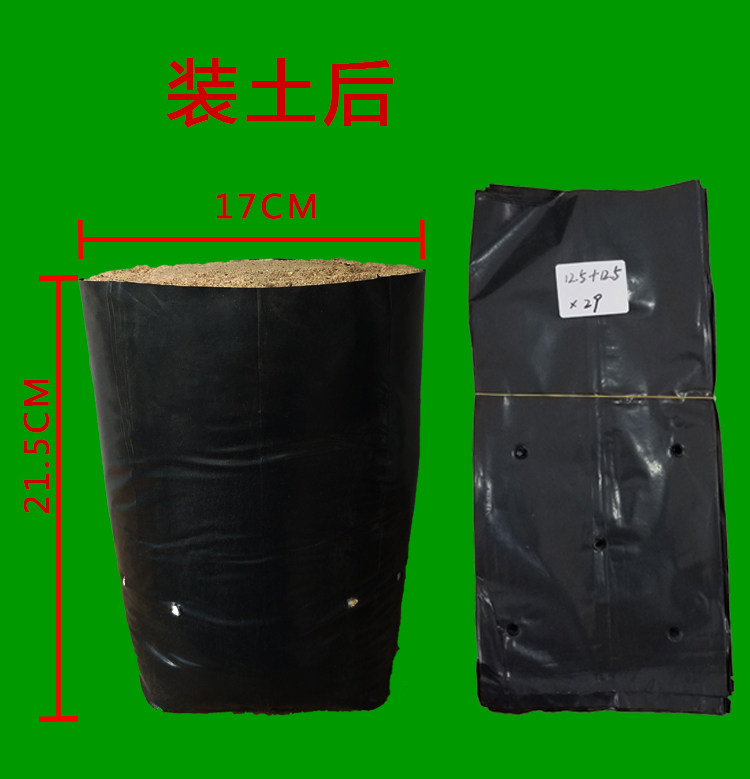 百香果苗桉树苗专用营养包白色黑色塑料育苗袋无纺布育苗袋营养袋,淘宝优惠券,粉丝福利购,淘宝优惠卷