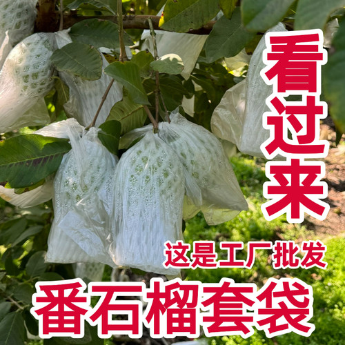 源头厂家水果网套包番石榴防虫袋芭乐网袋加厚袋子包装袋一体套袋 - 图3