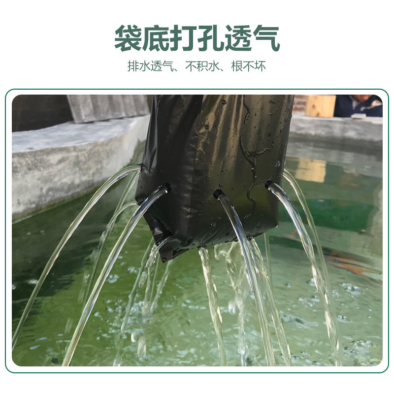 百香果苗桉树苗专用营养包白色黑色塑料育苗袋无纺布育苗袋营养袋,淘宝优惠券,粉丝福利购,淘宝优惠卷