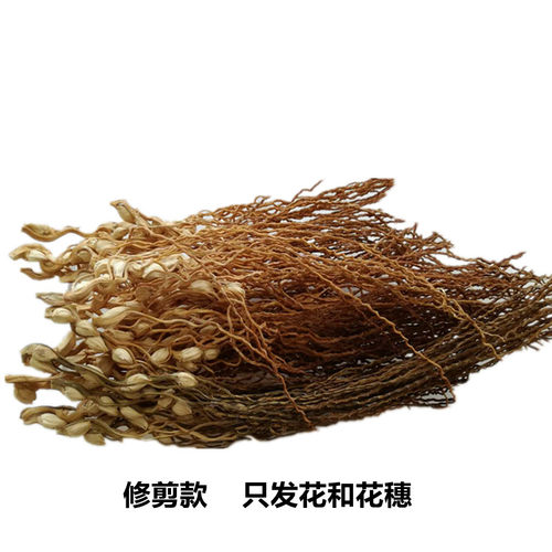 海南特产槟榔花新鲜晒干健胃养胃 天然无硫广东煲汤食材槟郎花干 - 图0