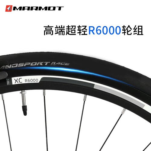 全球十大自行车品牌排名高端专业超轻耐力弯把公路车赛车成人单车 - 图2