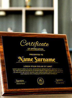 水晶奖牌牌匾定做授权牌定制荣誉奖杯证书制作韩版经销商授权年会