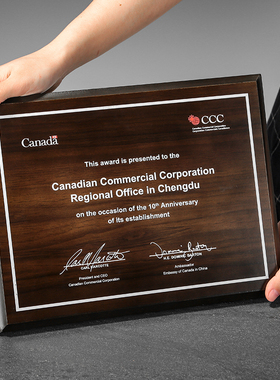 奖牌定制定做授权牌金箔奖牌挂牌木质木托奖杯荣誉牌匾证书纪年会