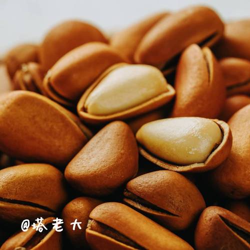 塔老大开口松子礼盒10袋装 每袋218g 东北天然红松子原味大颗粒 - 图2
