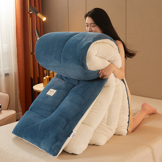 Winter milk velvet winter quilt thickened warm plus velvet quilt core double cotton quilt bedding winter single dormitory bed