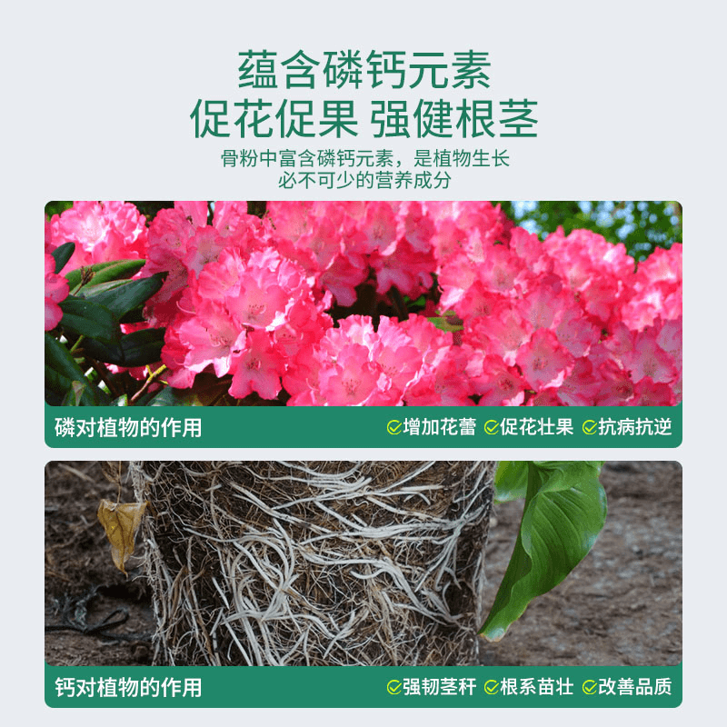 花大壮园艺骨粉花肥磷钾钙开花肥脱脂脱盐养花专用种菜有机肥植物,淘宝优惠券,粉丝福利购,淘宝优惠卷