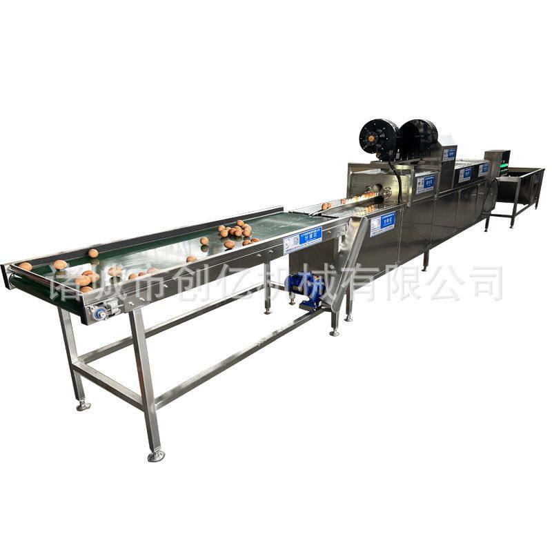 全自动海鸭蛋清洗机 多功能鸡蛋去泥机定制 商用大型单排洗蛋机,淘宝优惠券,粉丝福利购,淘宝优惠卷