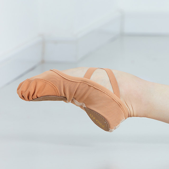 Sansha Ballet Soft Shoes for Practicing Elastic Mesh