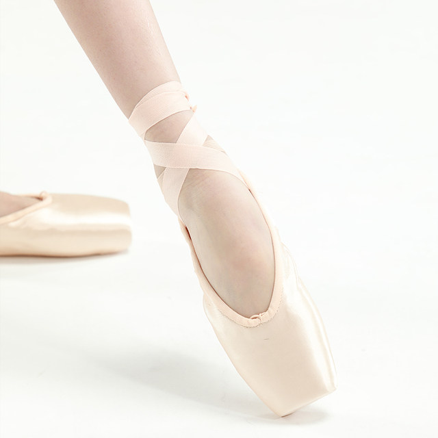Sansha Pointe Shoes Hard Shoes Beginners Satin ID