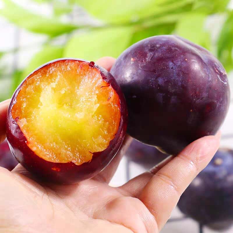 greenhow食品旗舰店智利黑布林李子水果新鲜进口脆李子恐龙蛋黑布朗孕妇水果3斤包邮2
