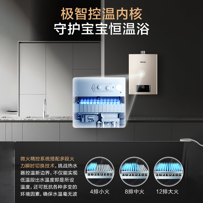 Rinnai/林内 JSQ31-C21W林内燃气热水器家用恒温天然气智能安全 - 图1