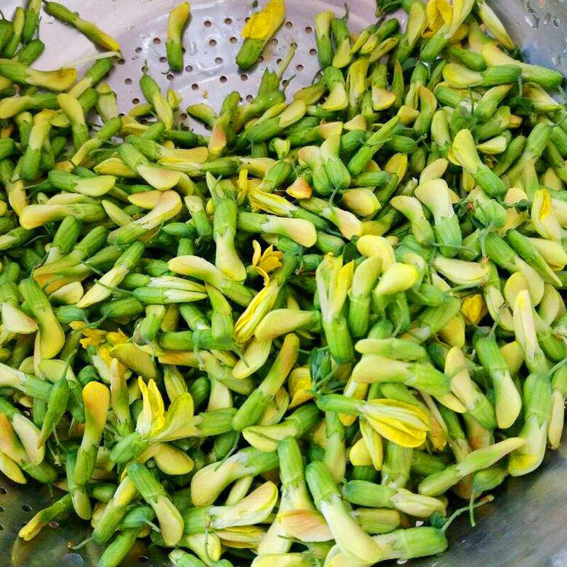 新鲜金雀花500g顺丰云南特产食用鲜花野菜2月20号之前发