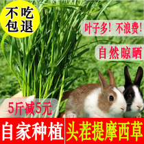 23 years Timosigrass hay hay rabbit grain with pasta sundry grass north Tirabbit dragon cat Dutch pig staple food feed