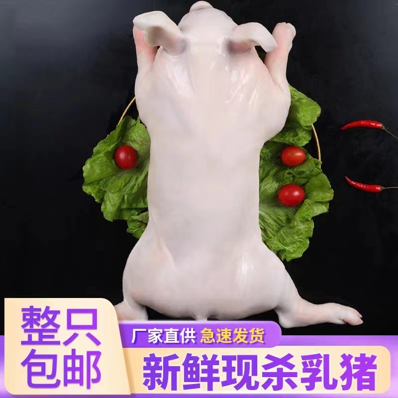 乳猪整只新鲜现拍现杀冷冻小耳广式脆皮宴席烧腊厂祭祖食材小香猪,淘宝优惠券,粉丝福利购,淘宝优惠卷