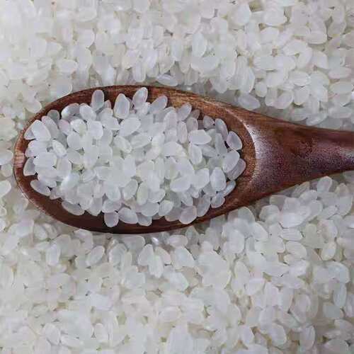 秋田小町寿司米5Kg珍珠米小粒王正宗东北吉一级大米10斤装粳米 - 图0