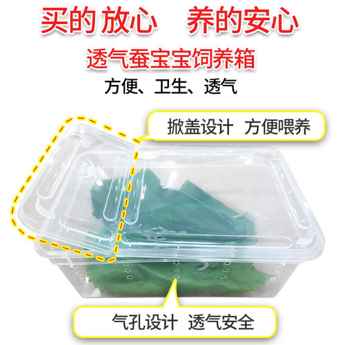 高档蚕宝宝透气饲养盒爬虫箱宠物盒守宫睫角蜘蛛角蛙昆虫乌龟养蚕 - 图3