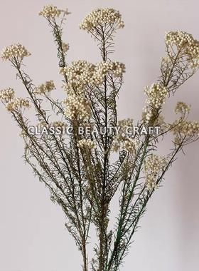 OMENIA现代轻奢样板间书