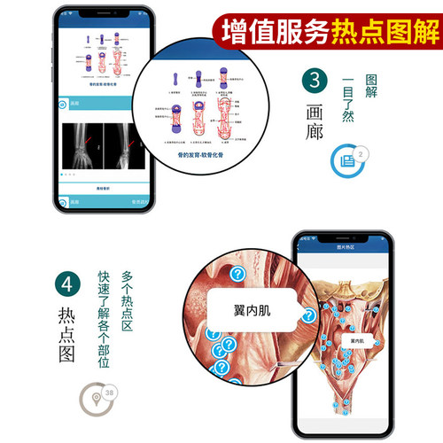 人体解剖学彩色图谱 第3版 第三版 西医解剖学外科医生用书 系统骨科器官解剖学 系统解剖学图谱教材 人体解剖图谱 新华书店正版 - 图1