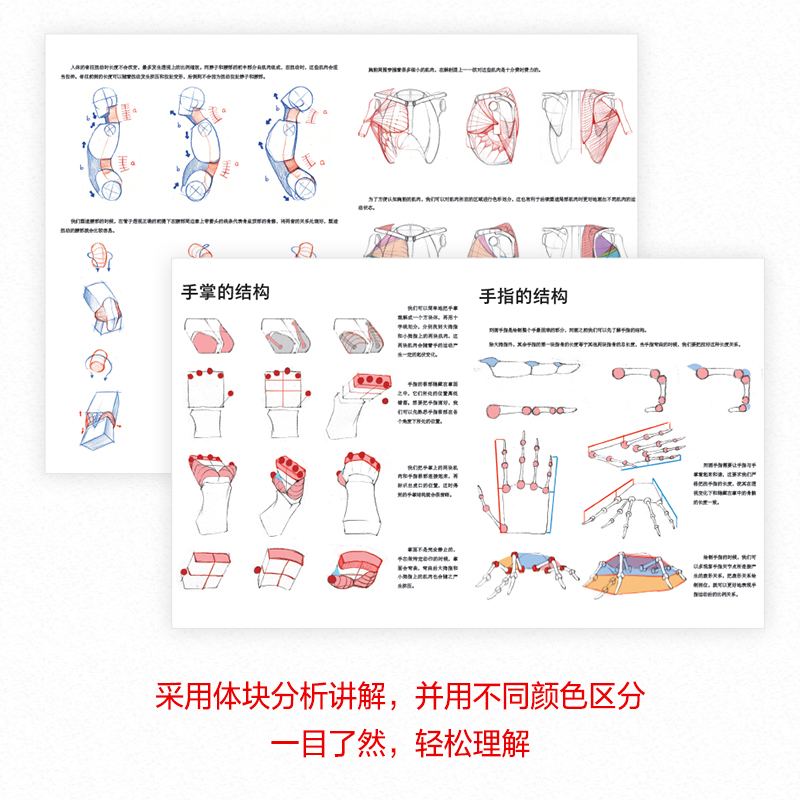 人体结构原理与绘画教学肖玮春 游戏动漫人体结构造型手绘技法人物绘画教程画画的春哥画画入门自学 书籍素描临摹画册 正版