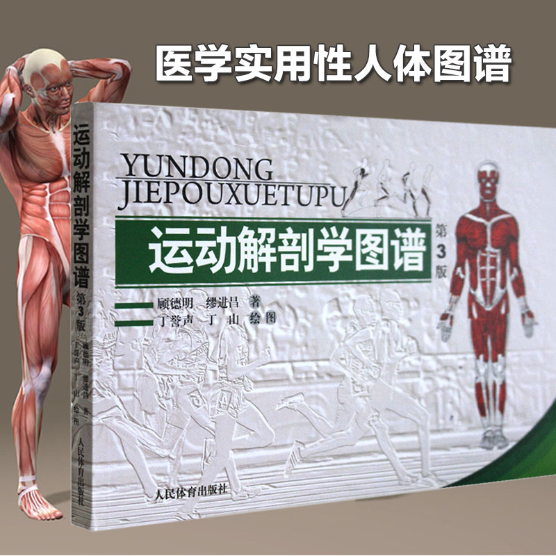 运动解剖学图谱修订第3版 肌肉塑造教程全书 人民体育健身书籍 健美训练图解 顾德明 医学实用性人体图谱 运动生理学 正版书籍,淘宝优惠券,粉丝福利购,淘宝优惠卷