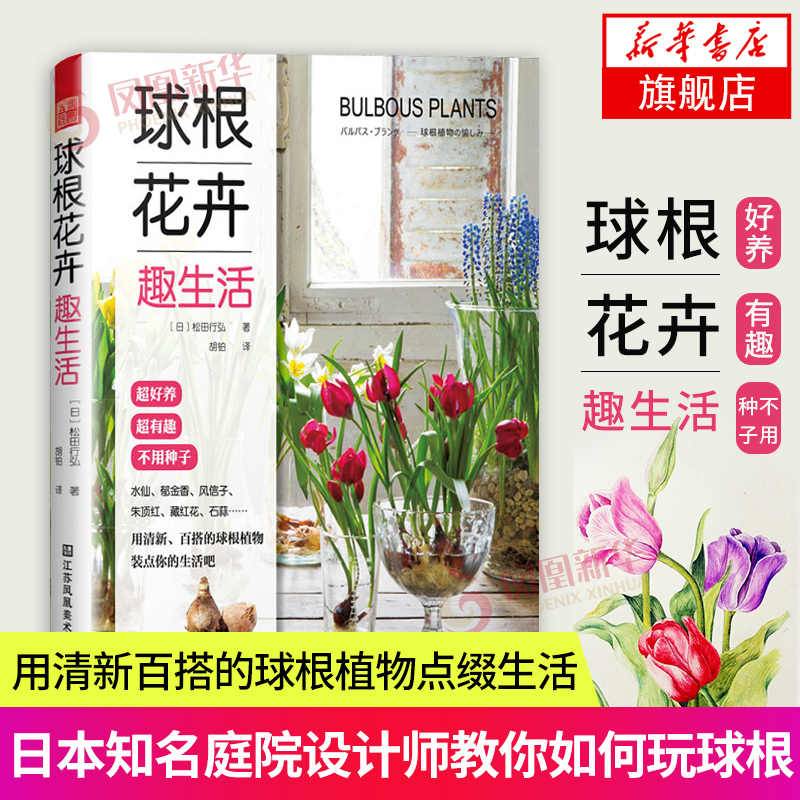 球根盆栽 新人首单立减十元 21年9月 淘宝海外