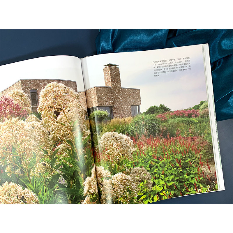 荒野之美 自然主义种植设计皮特奥多夫 荒草园林大师 自然主义种植设计 大型景观设计家庭庭院植物栽培技术园林园艺设计书籍,淘宝优惠券,粉丝福利购,淘宝优惠卷