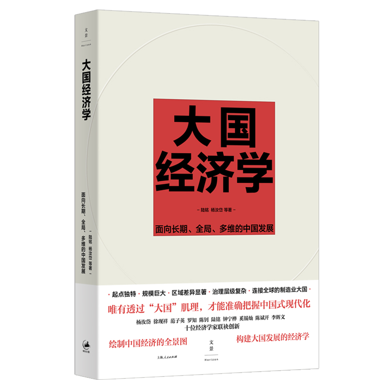 【陆铭新书】大国经济学 面向长期全局多维的中国发展 陆铭 杨汝岱等著 解读中国经济的通识之作上海人民出版社凤凰新华书店旗舰店 - 图0