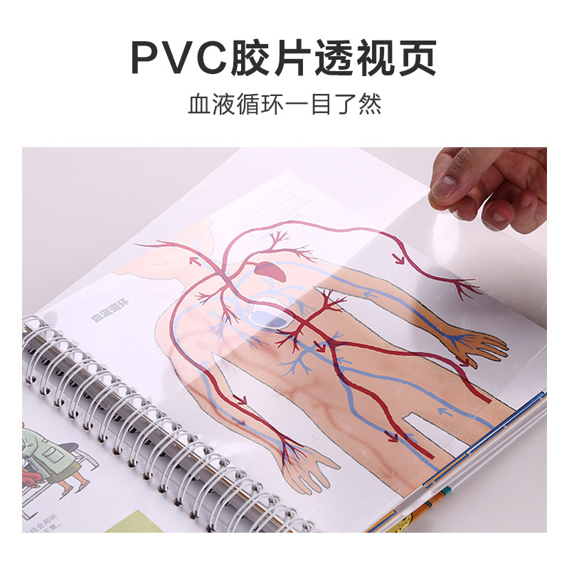 正版我们身体3d立体乐乐趣翻翻图书 凤凰新华书店科普百科