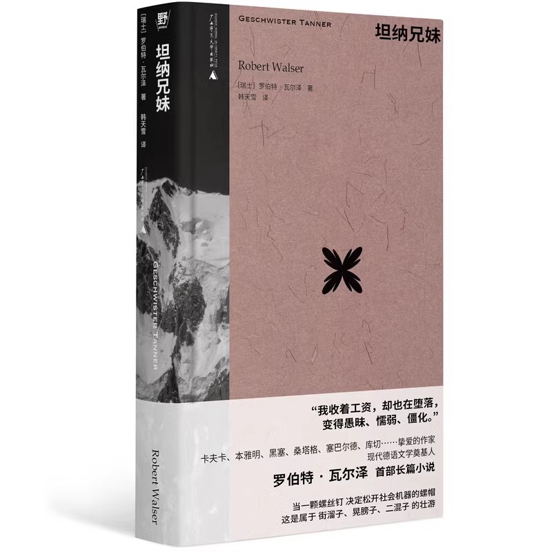 坦纳兄妹 罗伯特瓦尔泽中短篇小说集 外国小说书籍文学 广西师范大学出版社 凤凰新华书店旗舰店正版书籍 - 图0