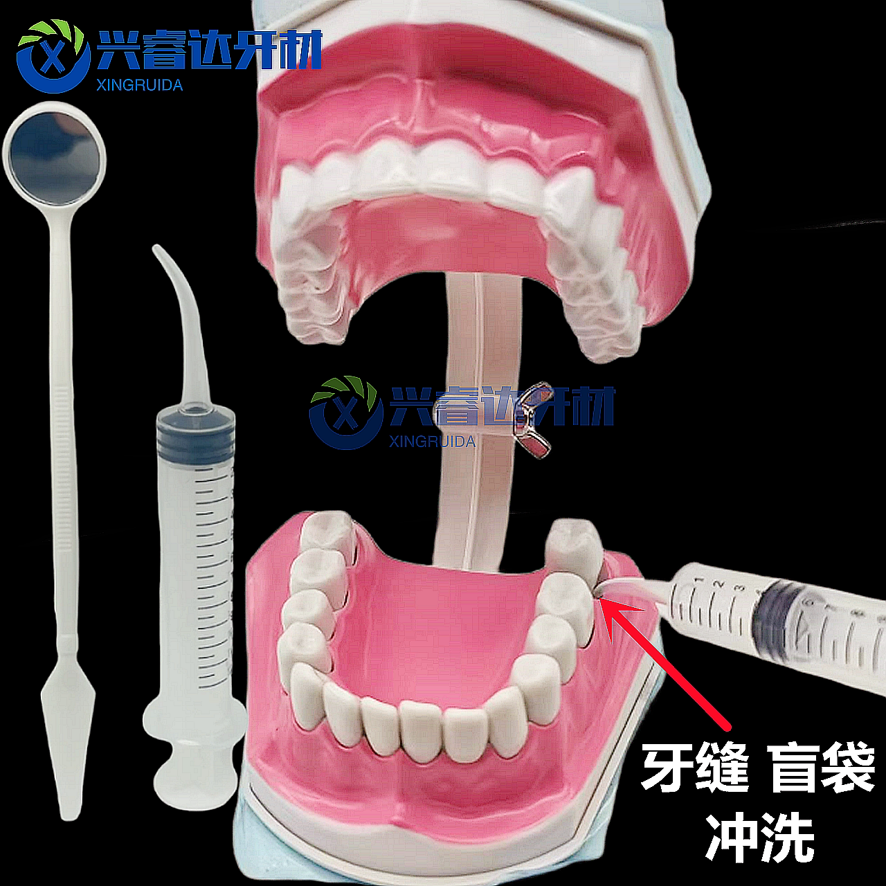 牙科弯头注射器口腔冲牙针管手动智齿盲袋冲洗清理神器牙洞吸残渣 - 图1