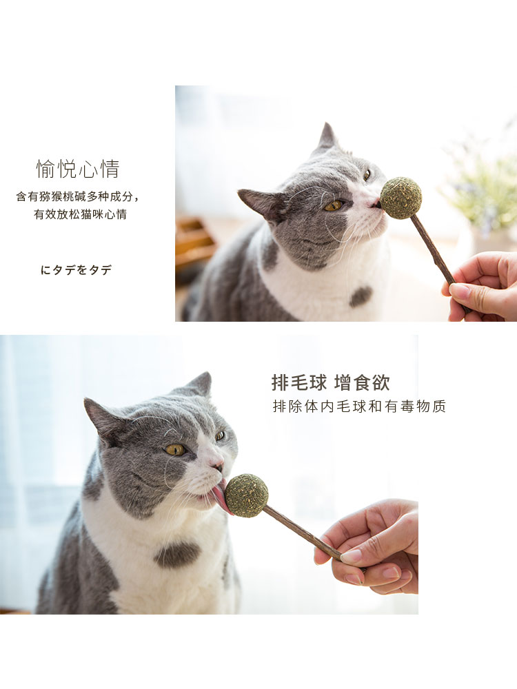 猫咪棒棒糖木天蓼猫草猫零食逗猫棒磨牙棒小猫幼猫薄荷球啃咬玩具 - 图3