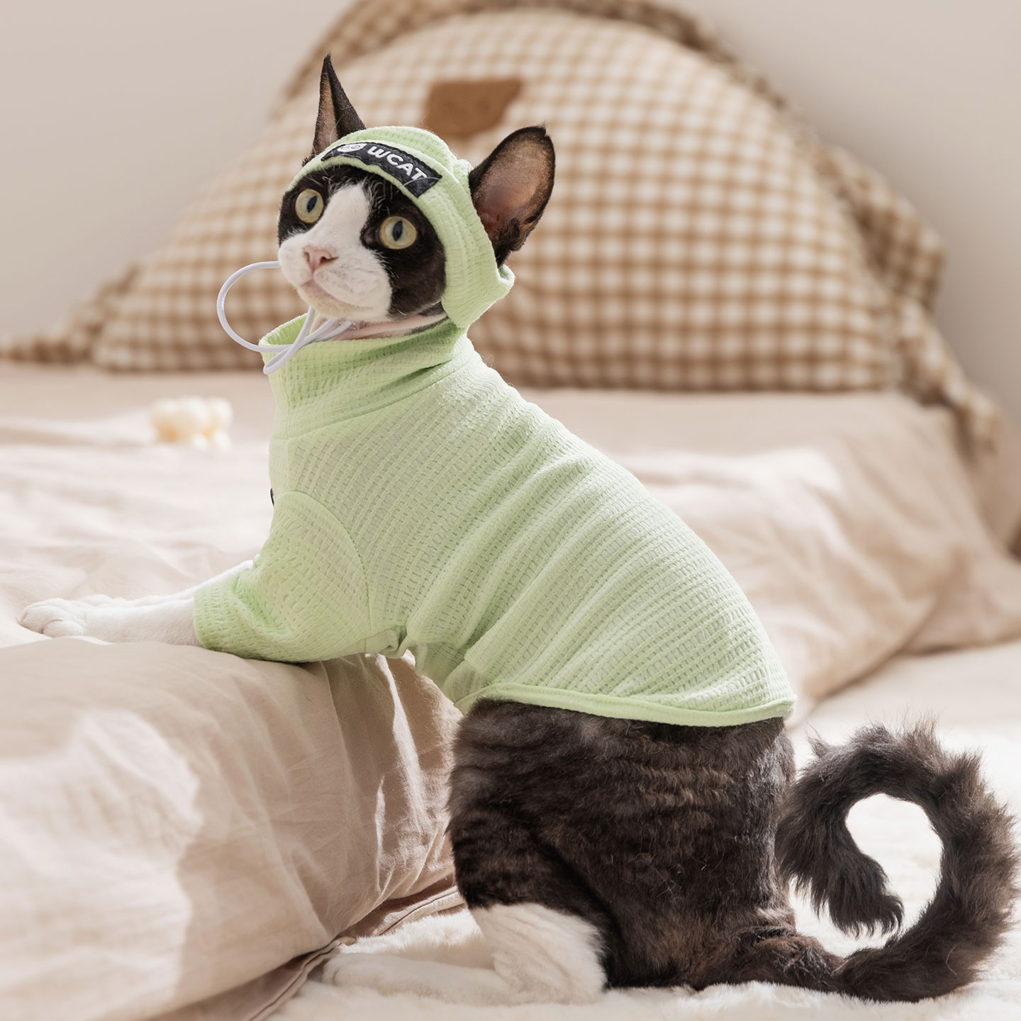 送帽子德文猫衣服薄款秋天暹罗无毛猫宠物幼猫小猫咪打底衫春秋季 - 图0