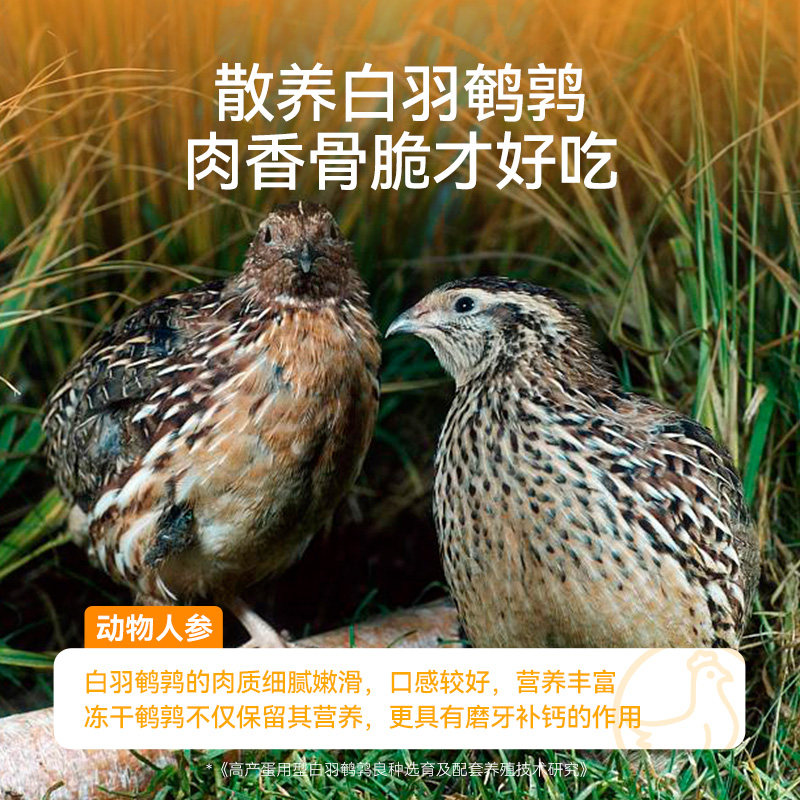 猫零食鹌鹑冻干猫咪磨牙棒增肥营养洁牙幼猫零食猫咪鹌鹑冻干零食,淘宝优惠券,粉丝福利购,淘宝优惠卷