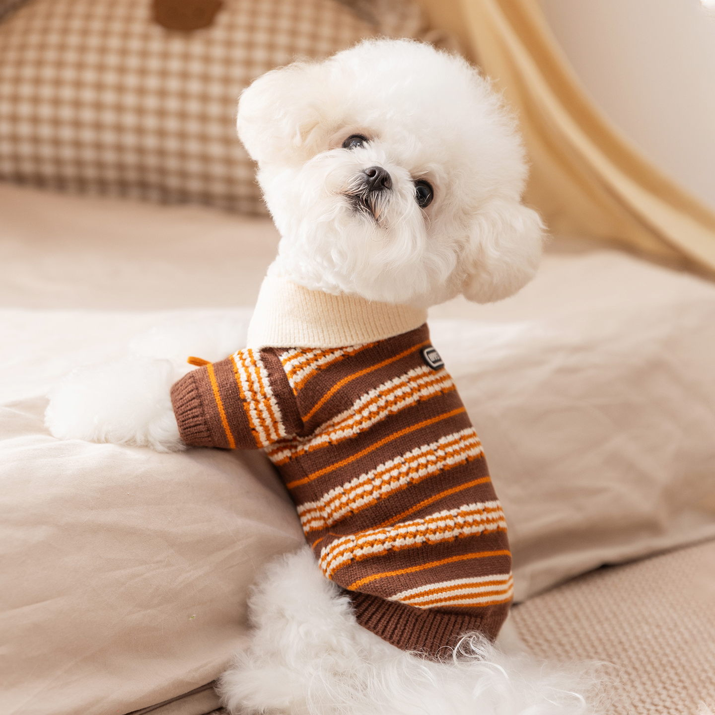 2025新款毛衣小狗狗衣服泰迪比熊宠物小型犬冬天雪纳瑞西高地冬季 - 图0