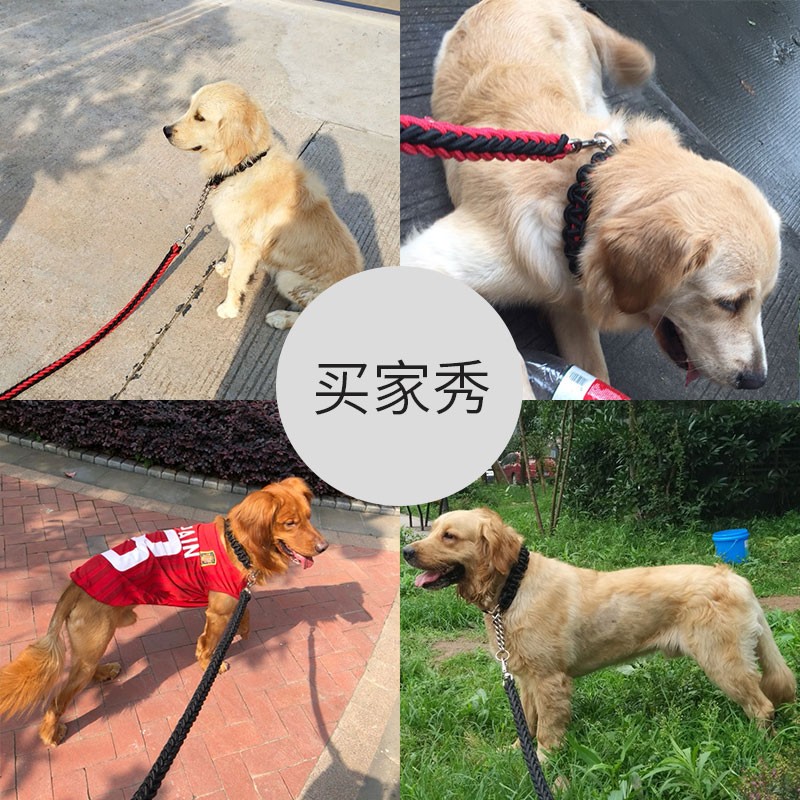 狗狗牵引绳中型大型犬金毛狗绳子防咬断拉布拉多狗链子脖圈p绳p链 - 图2