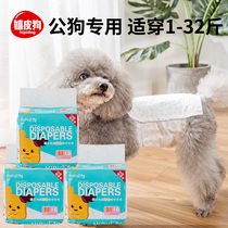 Dogs pee not wet Pets public dog special Bibear teddy physiology small dog diaper paper diaper politeness and anti-piss