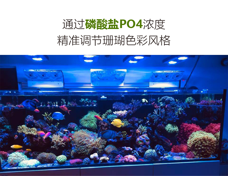 德国Fauna Marin Ultraphos强力PO4磷酸盐吸附剂除藻剂吸磷珠FM-图1