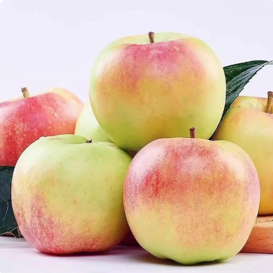 【芭芭农场】年陕西高原红富士苹果当季新鲜脆甜丑苹果现采摘_中国陕北特色馆_水产肉类/新鲜蔬果/熟食-第4张图片-提都小院 【芭芭农场】年陕西高原红富士苹果当季新鲜脆甜丑苹果现采摘_中国陕北特色馆_水产肉类/新鲜蔬果/熟食-第4张图片-提都小院