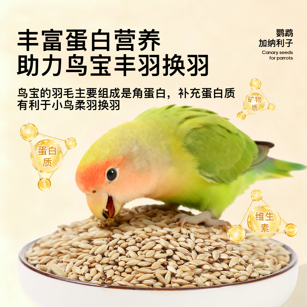 青松宠鹦鹉加纳利子鸟食虎皮牡丹玄凤小太阳专用粮训练奖励鸟零食,淘宝优惠券,粉丝福利购,淘宝优惠卷