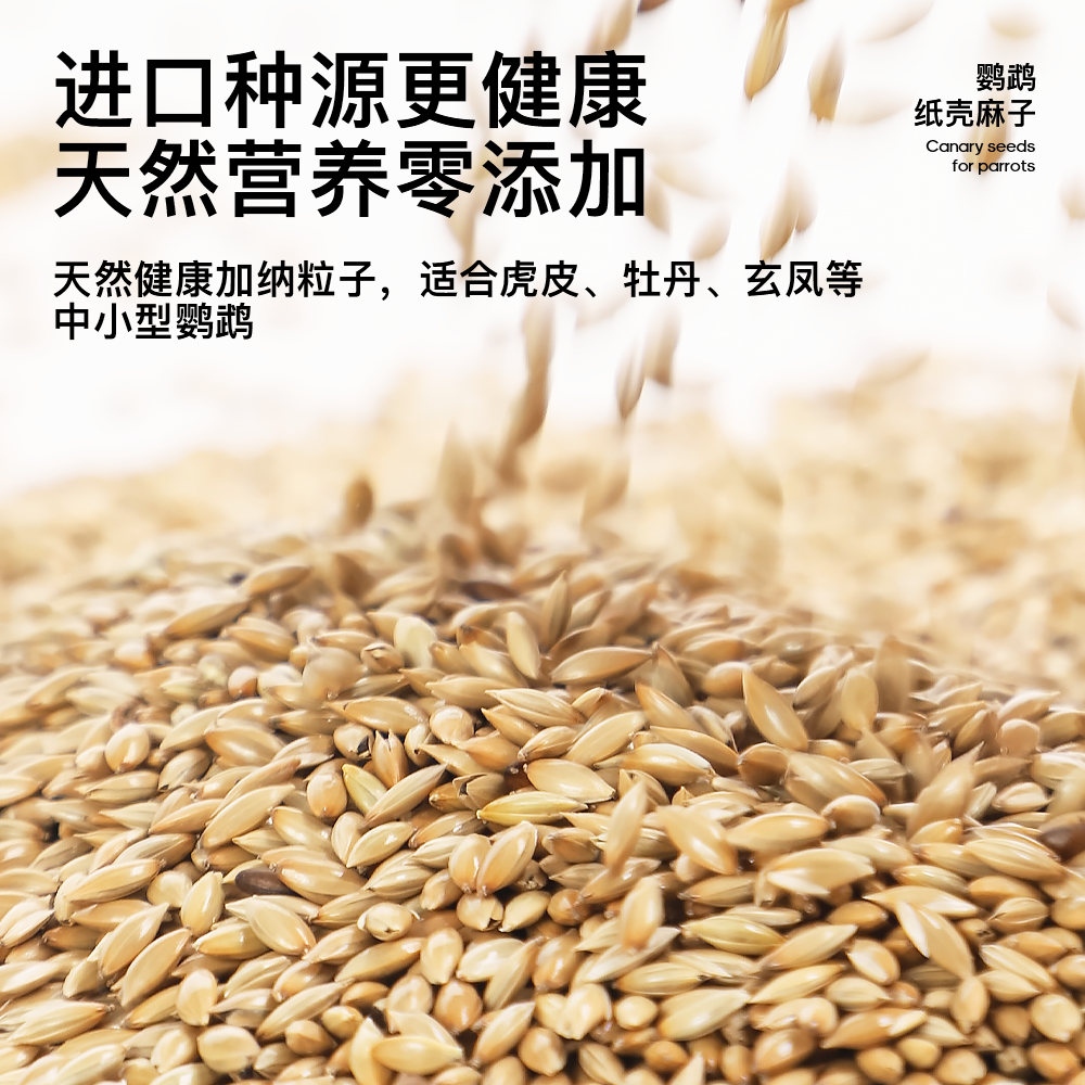 青松宠鹦鹉加纳利子鸟食虎皮牡丹玄凤小太阳专用粮训练奖励鸟零食,淘宝优惠券,粉丝福利购,淘宝优惠卷