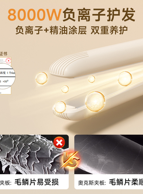 奥克斯迷你刘海小夹板卷直两用