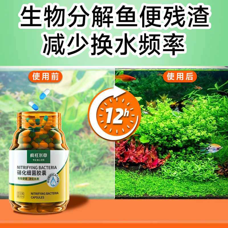 疯狂水草硝化细菌胶囊鱼缸专用养鱼药净化水质净水剂水族消化细菌 - 图2