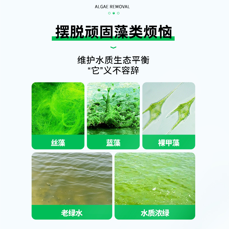 疯狂水草2L鱼池除藻剂去苔剂除青苔专用神器池塘绿藻清除剂蓝藻净