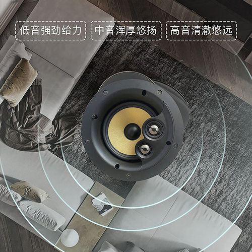 HOPE向往HS800定阻吸顶吊顶嵌入式喇叭音响音箱中低高音 - 图2