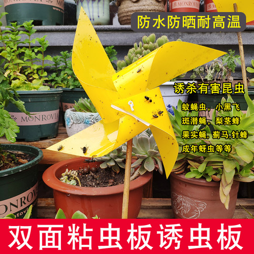 双面粘虫板黄色诱虫花卉小黑飞虫黏贴覆纸农用大棚蓟马果蝇诱捕器 - 图0